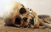 Под Калининградом нашли скелет человека
