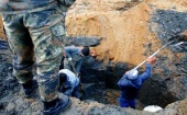 В Калининградской области задержали 87 «черных копателей» янтаря