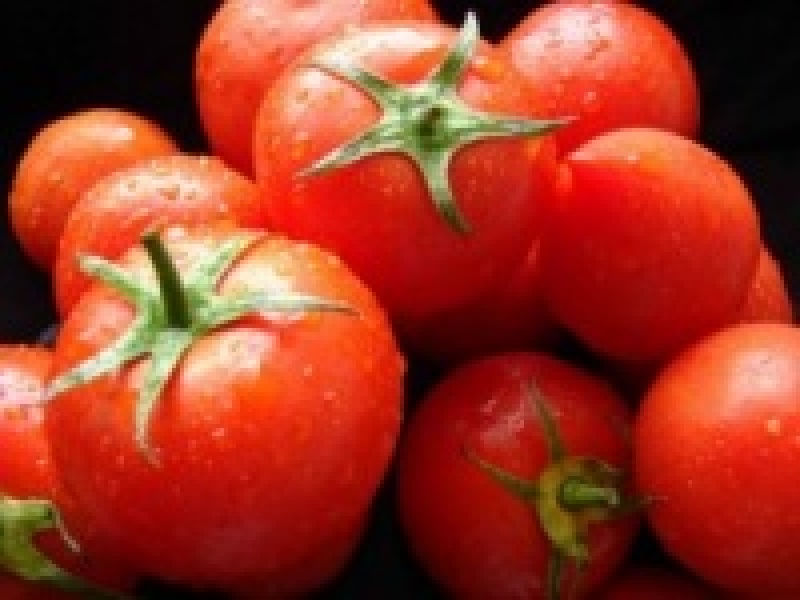 Ученые повысят урожайность и вкус помидоров